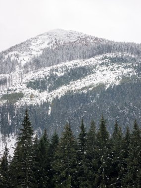 Kış karla kaplı dağ başında