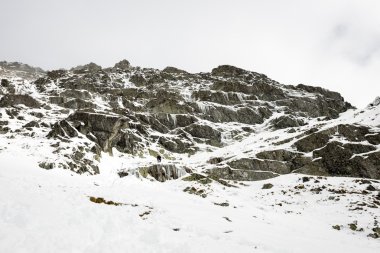 Kış karla kaplı dağ başında