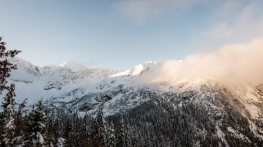 Kış karla kaplı dağ başında
