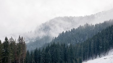 Kış karla kaplı dağ başında