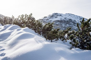Kış karla kaplı dağ başında