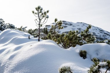 Kış karla kaplı dağ başında