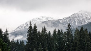 Kış karla kaplı dağ başında
