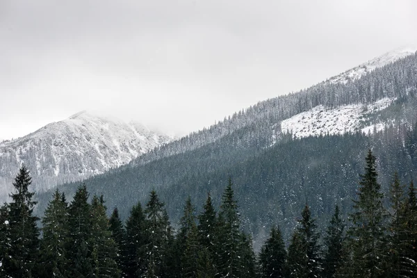 Cumes de montanha no inverno cobertos de neve — Fotografia de Stock