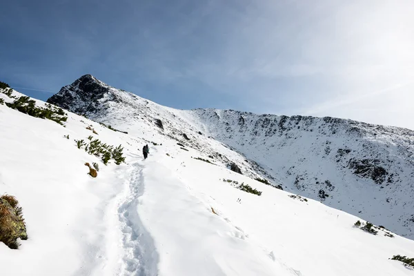 Turisty těší vysoké hory ve sněhu za slunečného dne — Stock fotografie