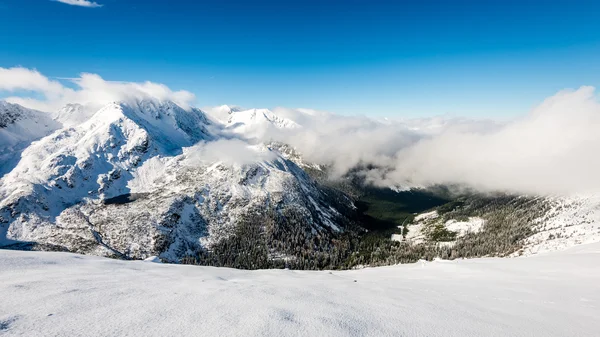 Sommets de montagne en hiver couverts de neige avec un soleil éclatant et bleu — Photo