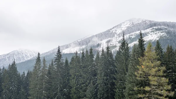 Βουνοκορφές το χειμώνα, καλυμμένο με χιόνι — Φωτογραφία Αρχείου