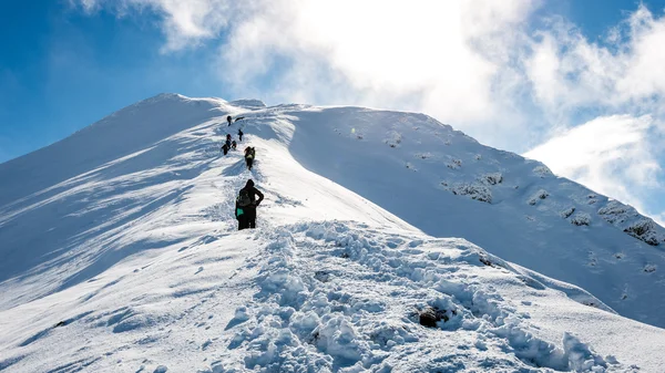 游客在享受高山雪在阳光明媚的日子 — 图库照片