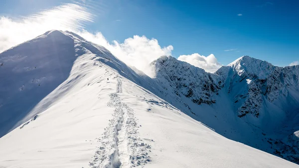 Cumbres de montaña en invierno cubiertas de nieve con sol brillante y azul — Foto de Stock