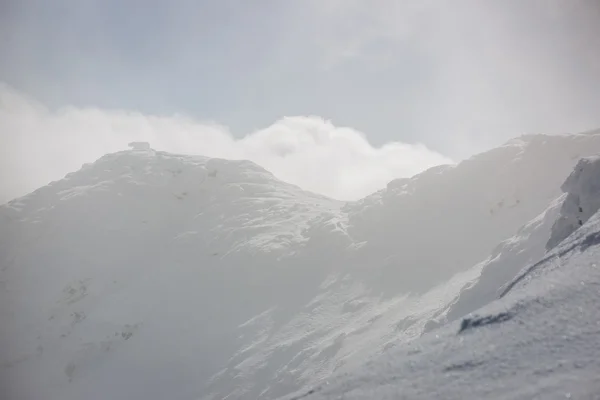 在冬天白雪皑皑的山顶 — 图库照片