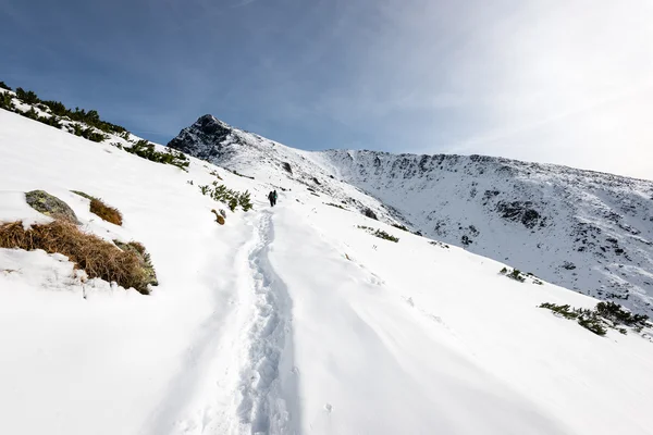 Pokryte śniegiem górskie szczyty w zimie — Zdjęcie stockowe