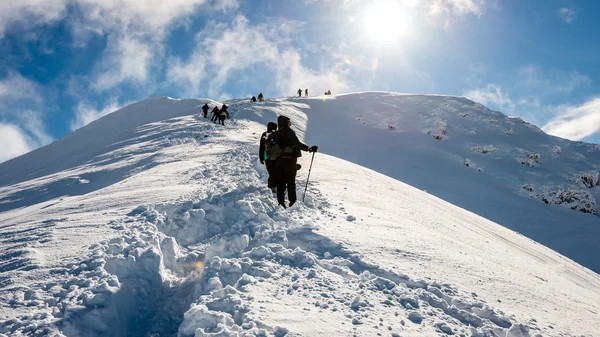 Toeristen genieten van de hoge bergen in de sneeuw op een zonnige dag — Stockfoto