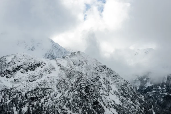 Bergstopparna i vinter täckt av snö — Stockfoto