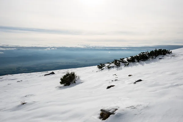 Sommets en hiver recouverts de neige — Photo