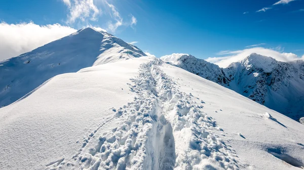 Cumes de montanha no inverno coberto de neve com sol brilhante e azul — Fotografia de Stock