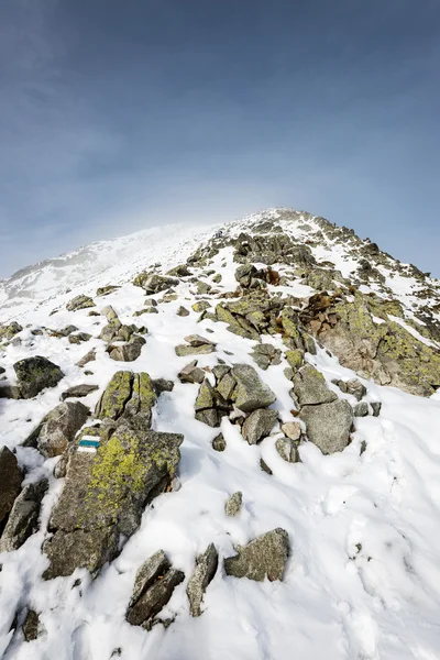 Kış karla kaplı dağ başında