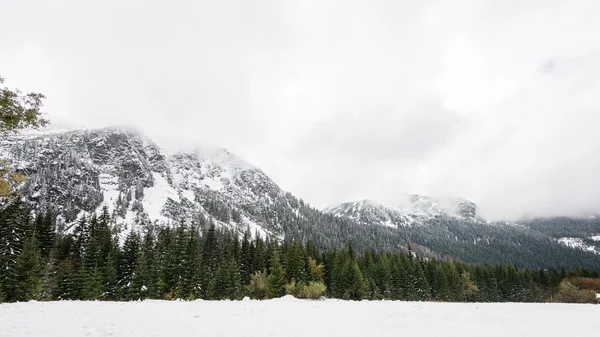 Cime di montagna in inverno coperte di neve — Foto Stock