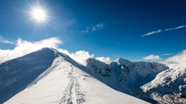 Cime di montagna in inverno coperte di neve con sole splendente e blu — Foto Stock