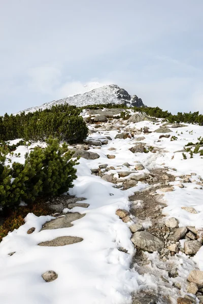 Sommets en hiver recouverts de neige — Photo