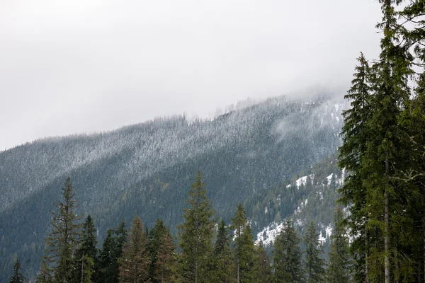 Berggipfel im Winter mit Schnee bedeckt — Stockfoto