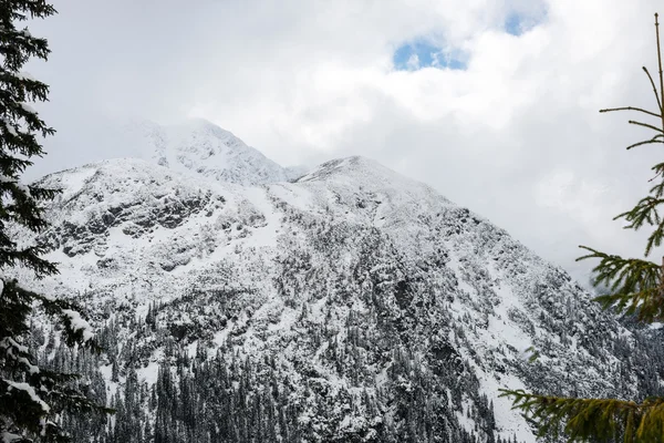 Bergtoppen in de winter bedekt met sneeuw — Stockfoto