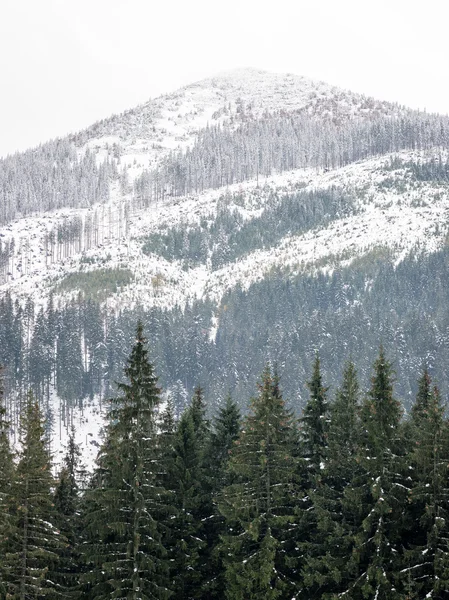 겨울 눈에 덮여 있는 산 정상 — 스톡 사진