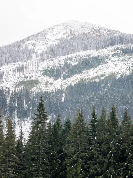 Cumes de montanha no inverno cobertos de neve — Fotografia de Stock