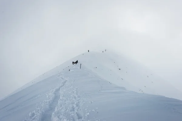 Sommets en hiver recouverts de neige — Photo