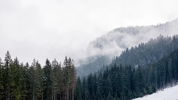 在冬天白雪皑皑的山顶 — 图库照片