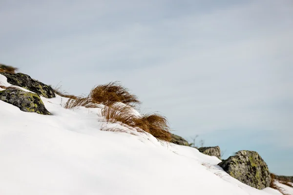 Sommets en hiver recouverts de neige — Photo