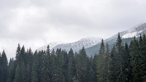 Kış karla kaplı dağ başında