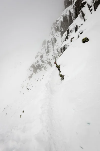 Cumes de montanha no inverno cobertos de neve — Fotografia de Stock