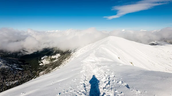 Turistas disfrutando de altas montañas en la nieve en un día soleado — Foto de Stock