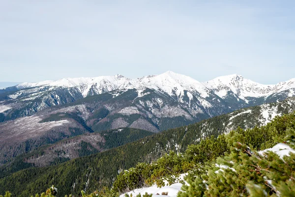 Cumbres de montaña en invierno cubiertas de nieve —  Fotos de Stock