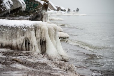 Baltık Denizi tarafından dondurulmuş plaj manzarası