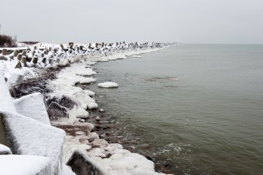 Baltık Denizi tarafından dondurulmuş plaj manzarası