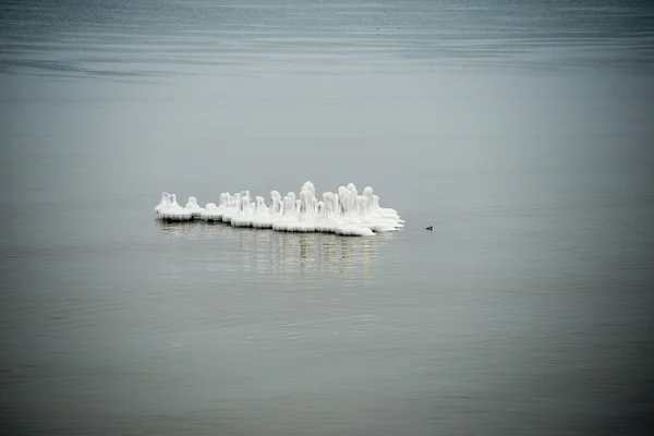 Vista congelada da praia pelo mar baltico — Fotografia de Stock