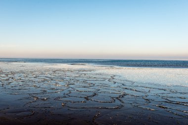 Baltık Denizi tarafından dondurulmuş plaj manzarası