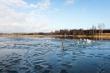 Baltık Denizi tarafından dondurulmuş plaj manzarası