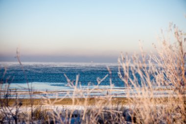 Baltık Denizi tarafından dondurulmuş plaj manzarası