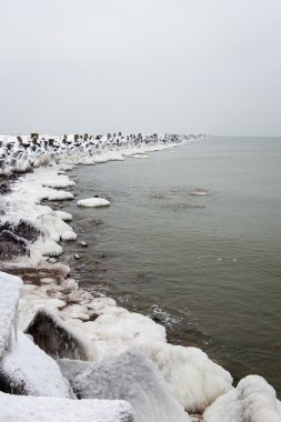 Baltık Denizi tarafından dondurulmuş plaj manzarası