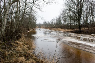 Baltık Denizi tarafından dondurulmuş plaj manzarası