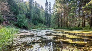 Sakin göl su yansımalar