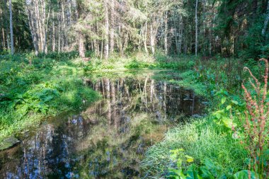 Sakin göl su yansımalar