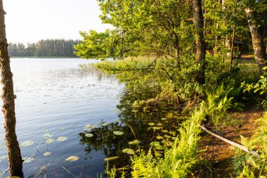 Sakin göl su yansımalar