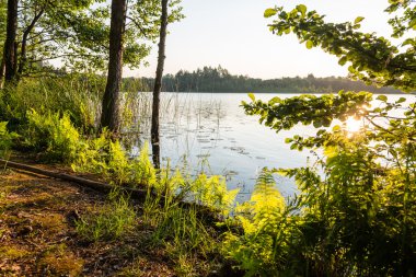 Sakin göl su yansımalar