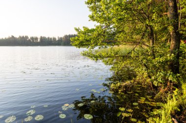 Sakin göl su yansımalar