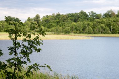 Sakin göl su yansımalar