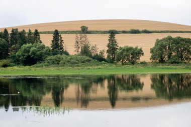Sakin göl su yansımalar