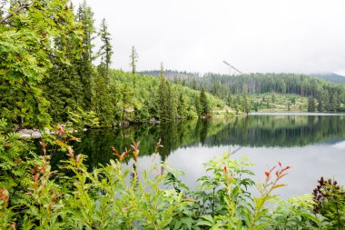 Sakin göl su yansımalar